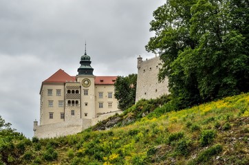 Fototapeta na wymiar Beautiful historic castle. Castle in Pieskowa Skala in Poland.