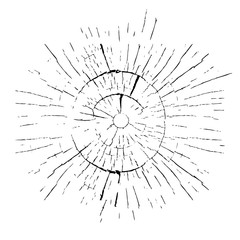 Broken glass on a white background. Vector illustration