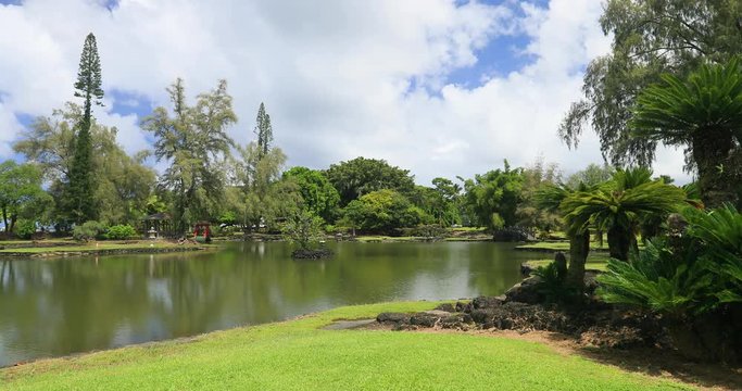 Tropical rocky beach bay Hilo Hawaii. Destination for swimming, scuba and snorkel, underwater fish and coral. Big Island, largest, most volcanic active. Economy is tourism based. Water and tropical.