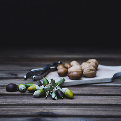 nueces, castañas y bellotas