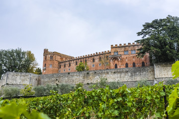 Castle Brolio and a vineyard in Tuscany in Italy