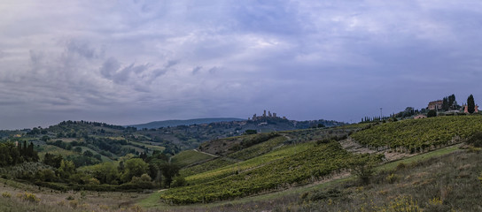 Fototapeta na wymiar Beautiful hills with vineyards in Tuscany with town San Gimignano in Italy