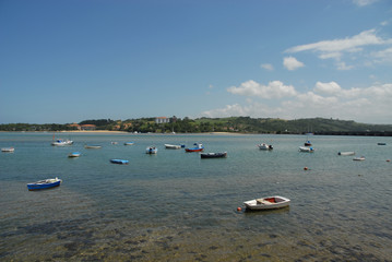 Fisher's coast