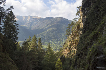 Obraz premium Осенний лес в горном ущелье, облачное небо над вершинами. Дикая природа Северного Кавказа, живописный пейзаж