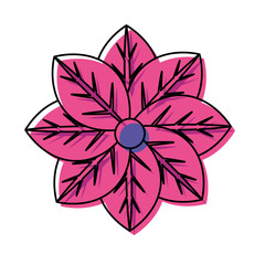 flower  vector illustration