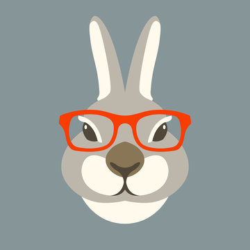rabbit face head in glasses vector illustration flat