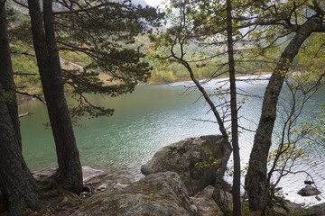 Деревья на берегу красивого озера, лес, дикая природа