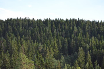 view from the mountain