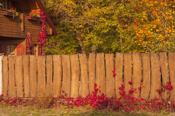 neighbor autumn colored fence 