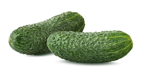 Two fresh cucumbers isolated on white background with clipping path