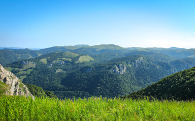 Obraz premium Green grass, forest and mountain tops. Mountain vegetation, forests. View of mountain peaks over green grass
