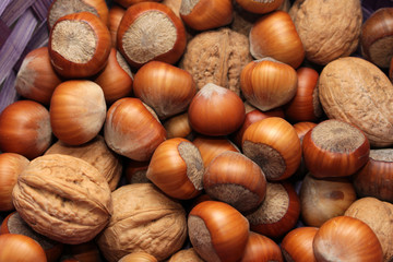 in the basket of different types of nuts in-shell hazelnuts and walnuts.