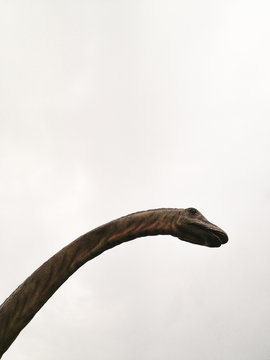 Dinosaur