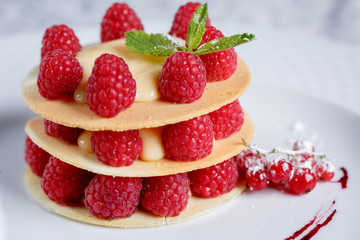 Exquisite dessert with cookies, cream and raspberries
