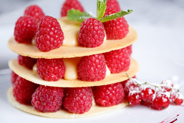Exquisite dessert with cookies, cream and raspberries