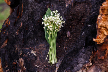 bouquet of lily of the valley