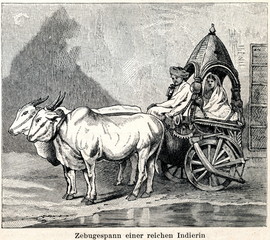 Two-wheeled carriage of rich indian woman, pulled by zebu (from Meyers Lexikon, 1896, 13/338/339)