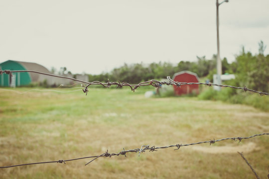 Down on the farm.