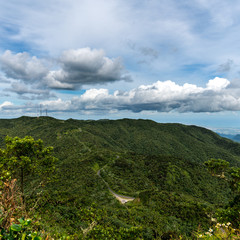 Cerro Punta Rain Forest