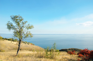 Fototapeta na wymiar hilly terrain against the background of the sea