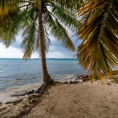 Fototapeta na wymiar Tropical Islands 