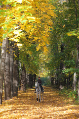 Equestrian girl ride grey arabian horse in autumn woods