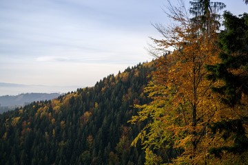 View from mountains with cloudy inversion below. Slovakia