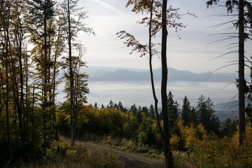 View from mountains with cloudy inversion below. Slovakia