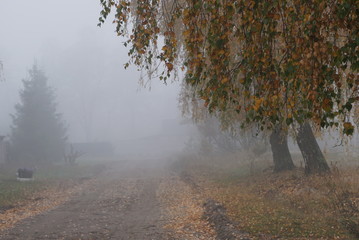 Fog on the street. Wet weather