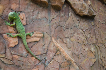 The Lizard on the wall. 