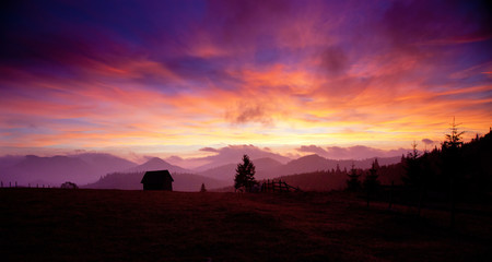 beautiful alpine sunset with firs and cottage