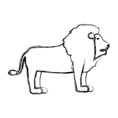 safari animals design