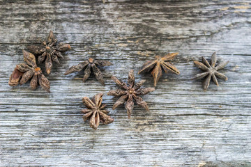 Fruits of anise on the background of a tree, christmas background