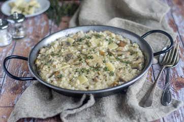 Mushroom and taleggio risotto