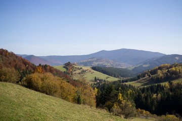 Colorful autumn leaves on the trees in nature. Slovakia