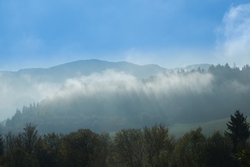 Mist in the woods during autumn. Slovakia