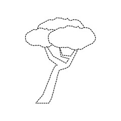 tree icon image