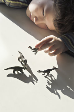 Boy is playing with dinosaurs toys