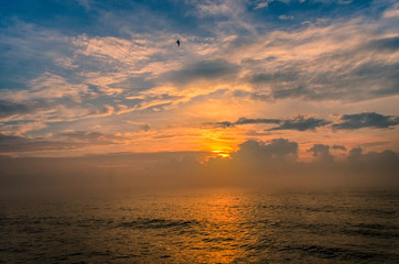 Foggy Sunrise
