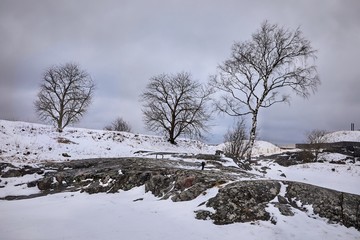 Winter Park LAndscape