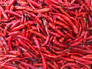 Dry Chilli background
