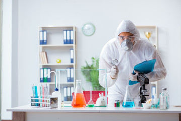 Scientist doing animal experiment in lab with rabbit