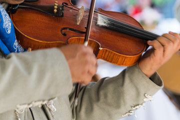 Mariachi Violin Player 