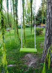 Swing on Tree 