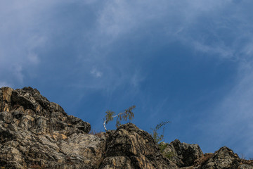 Trees on a rocky hills