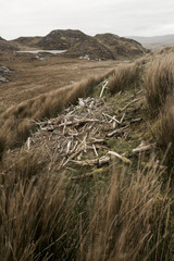 Windswept Donegal landscape