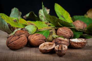 walnuts (Juglans regia) on a black background with leaves from the stoma