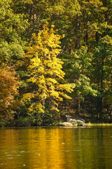 Fototapeta premium Eastern fall beauty