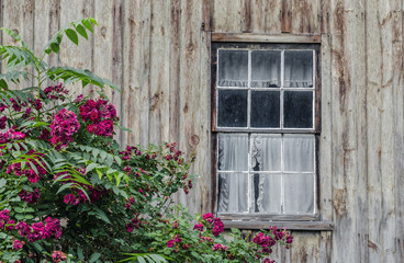 Fototapeta na wymiar Window on Old Abandoned Cabin
