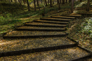 Stairs in a city park covered with yellow leaves